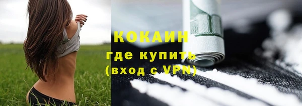 ПСИЛОЦИБИНОВЫЕ ГРИБЫ Аркадак