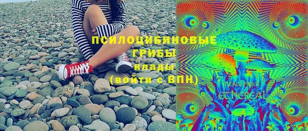 ПСИЛОЦИБИНОВЫЕ ГРИБЫ Аркадак