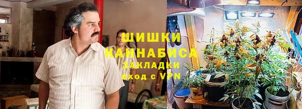 ПСИЛОЦИБИНОВЫЕ ГРИБЫ Аркадак