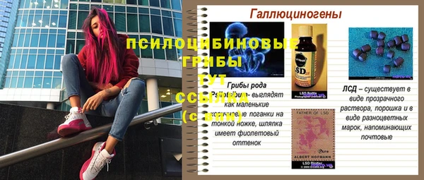 ПСИЛОЦИБИНОВЫЕ ГРИБЫ Аркадак