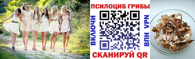 наркотики Тосно hydra Псилоцибиновые грибы Psilocybe